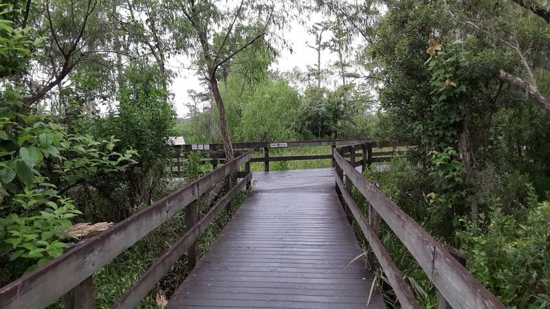 Jean Lafitte National Historical Park and Preserve Jean Lafitte National Historical Park and Preserve