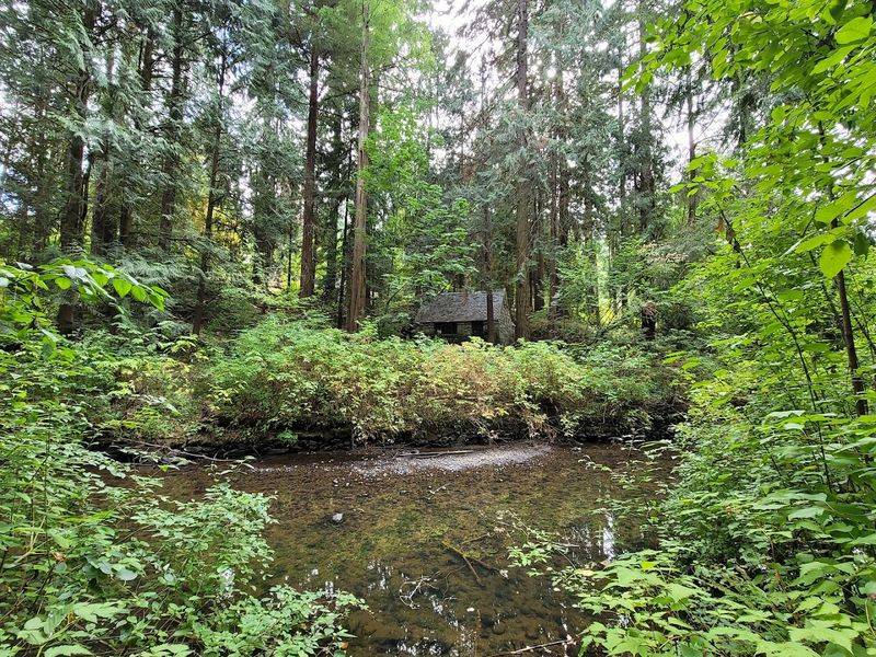 Johnson Creek and the Trails Along the Water