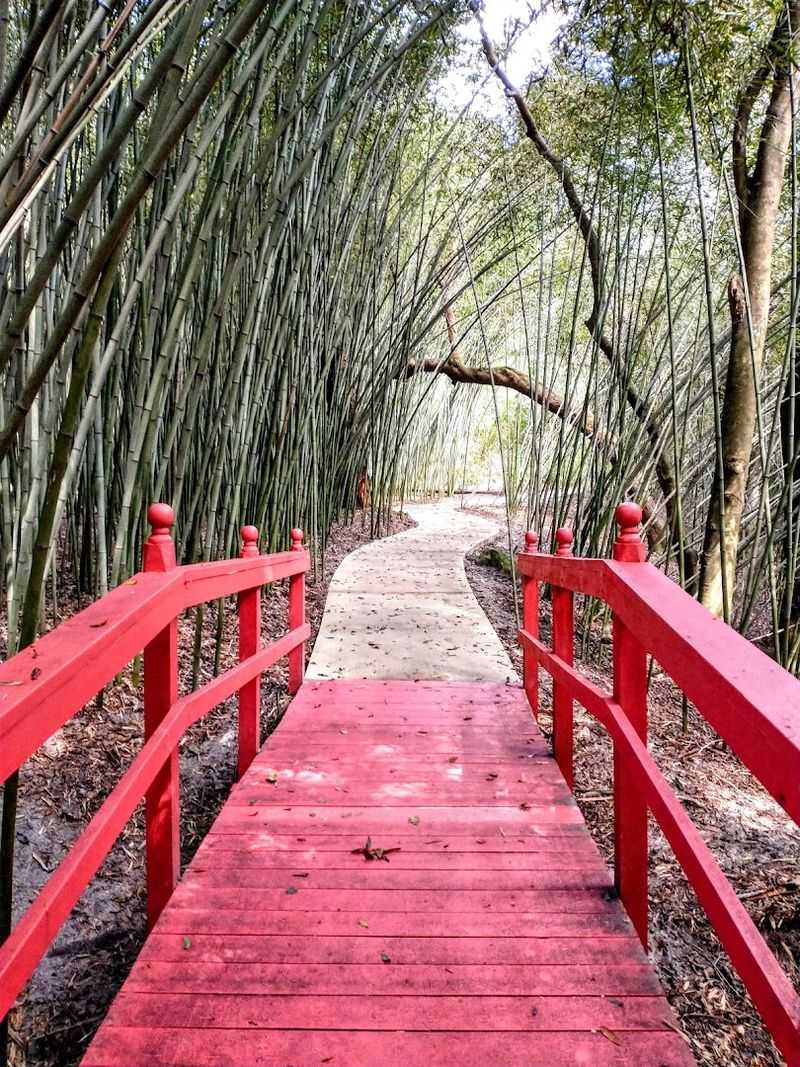 Kanapaha Botanical Gardens - Gainesville