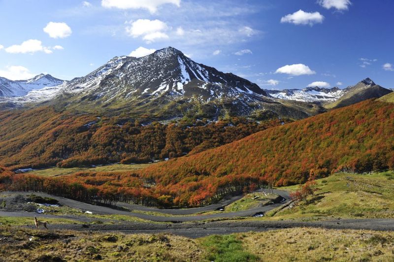 Karukinka Natural Park