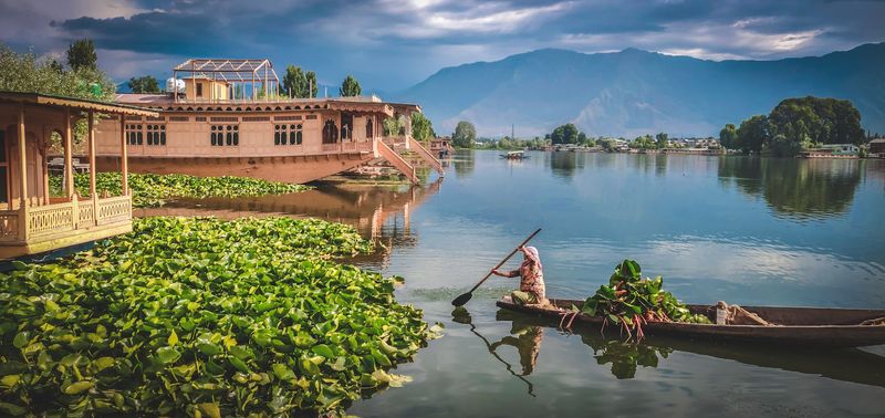 Kashmir - Jammu & Kashmir