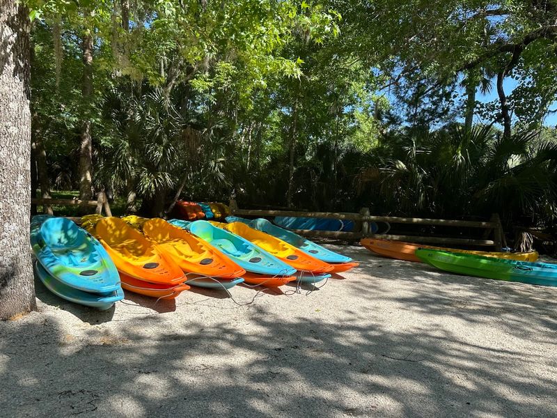 Kayak and Paddleboard Rentals on Site
