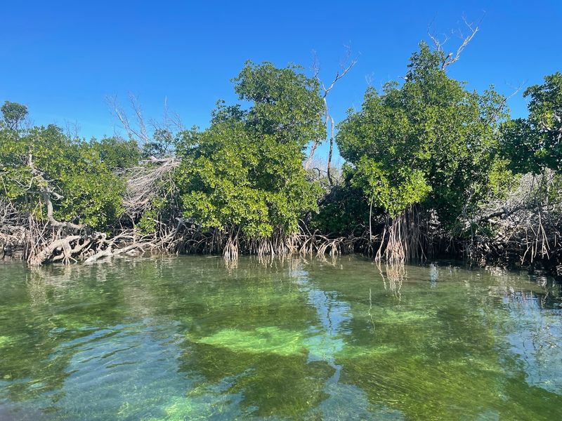 Kayaking and Paddleboarding the Backcountry Waters