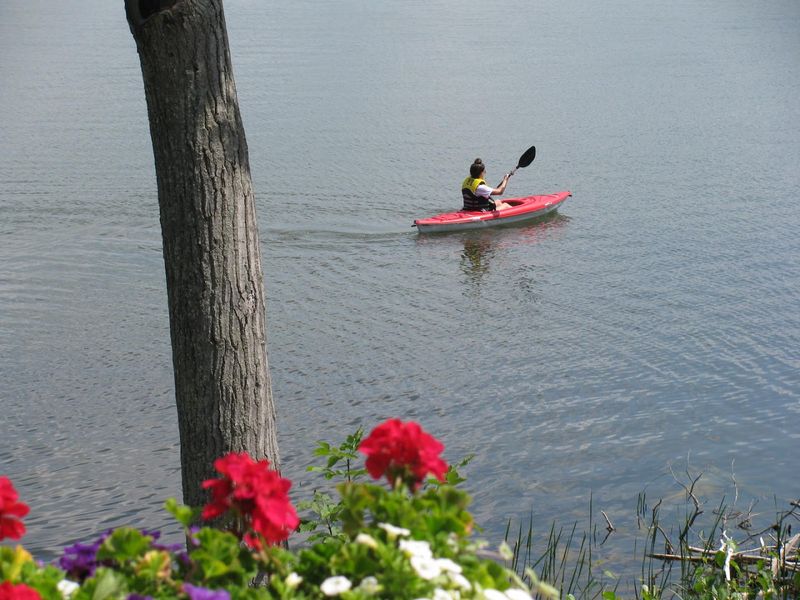 Kayaking the Deadstream River Right From the Shore Kayaking the Deadstream River Right From the Shore