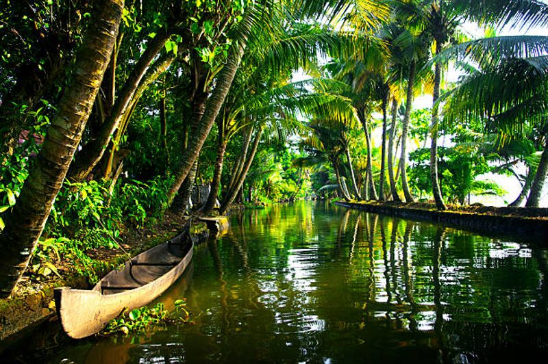 Kerala Backwaters - Kerala