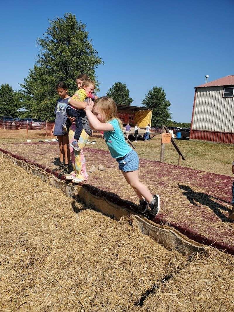 Kid-Friendly Activities That Go Beyond Apple Picking Kid-Friendly Activities That Go Beyond Apple Picking