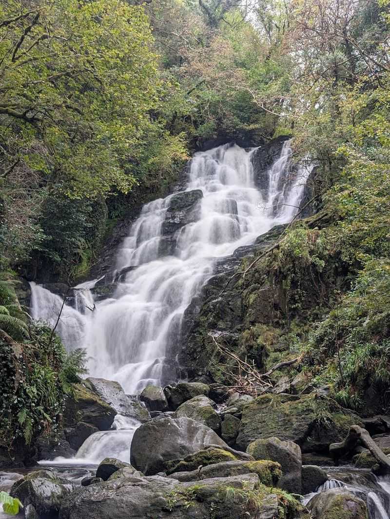 Killarney National Park, County Kerry Killarney National Park, County Kerry