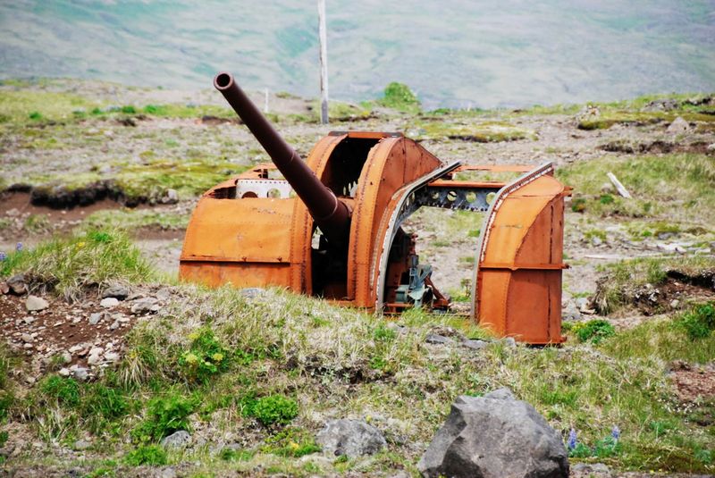 Kiska Island, Alaska