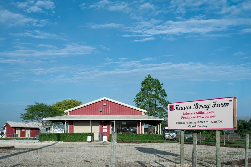 Knaus Berry Farm, Homestead, Florida Knaus Berry Farm, Homestead, Florida