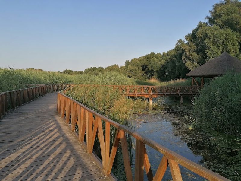 Kopački Rit Nature Park, Croatia's Wild Wetlands