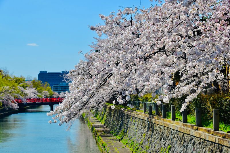 Kyoto