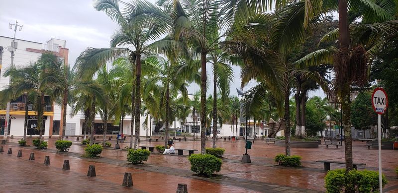 Pitalito, Huila