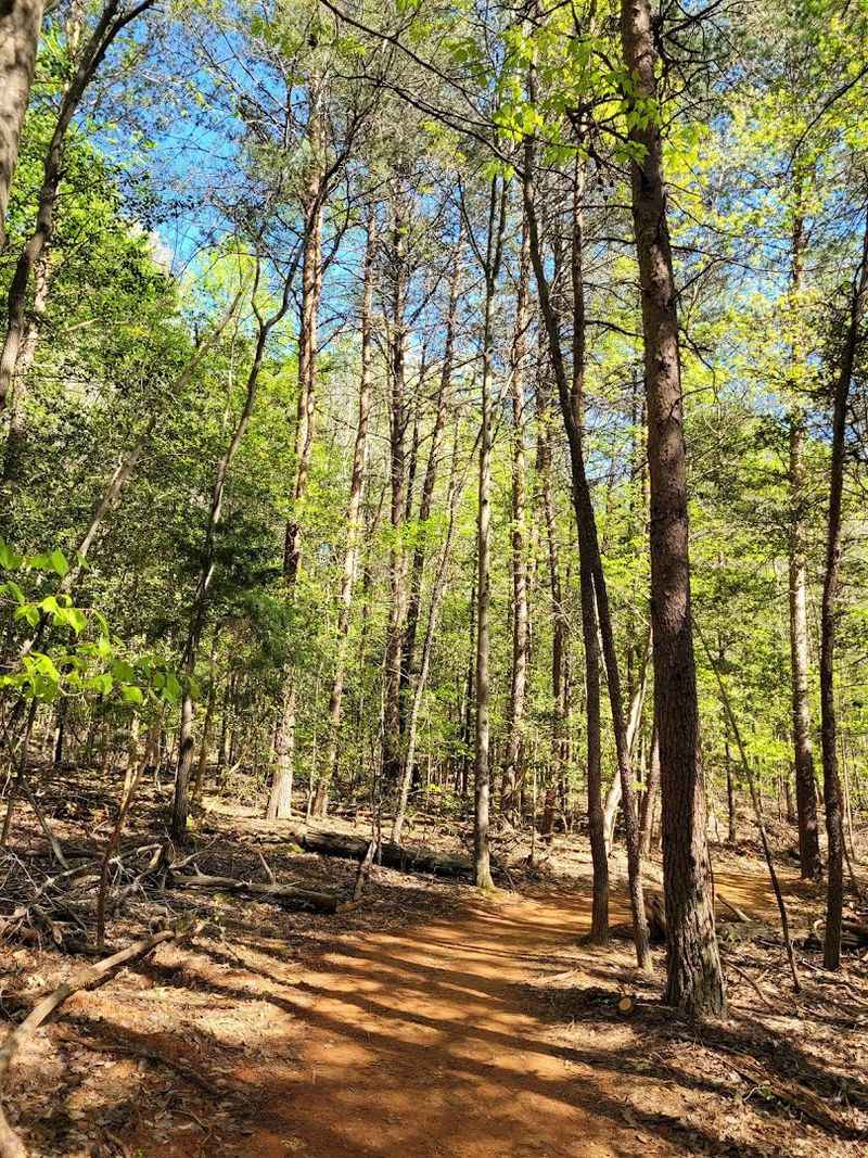 Lake Shore Trail, Troutman, North Carolina