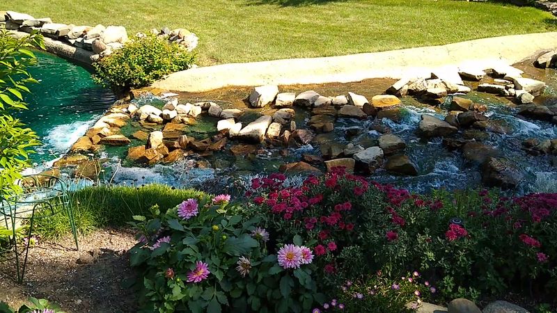 Landscaping So Detailed It Feels Like a Garden Tour