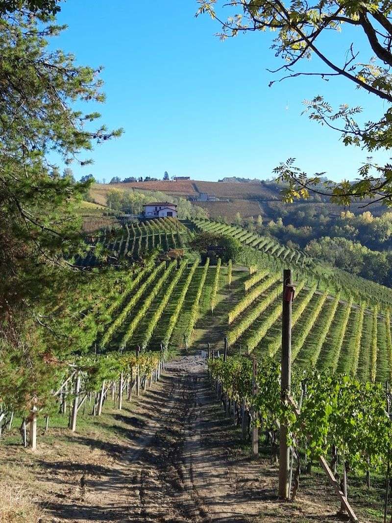 Langhe, Piedmont Langhe, Piedmont