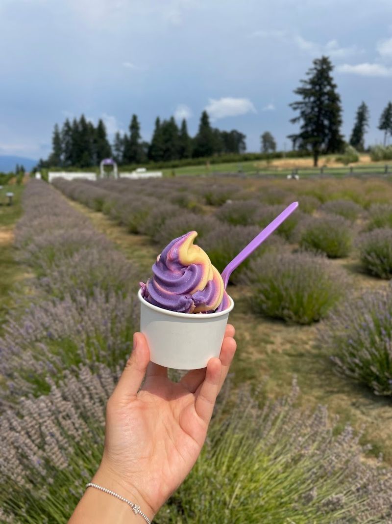 Lavender Ice Cream That Earns Its Reputation Lavender Ice Cream That Earns Its Reputation