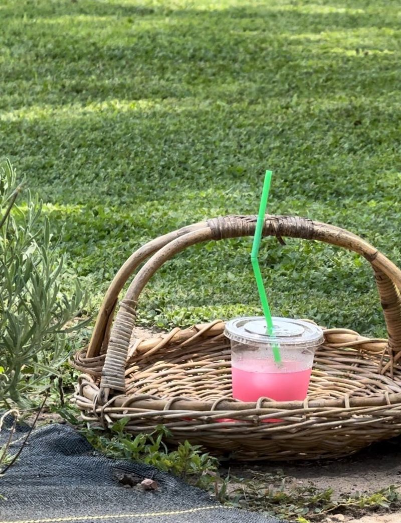Lavender Lemonade and Homemade Treats Worth the Trip Alone Lavender Lemonade and Homemade Treats Worth the Trip Alone