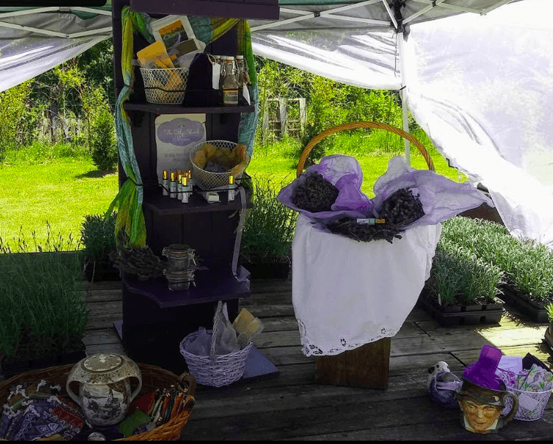 Lavender Products Made Right on the Property