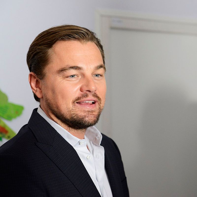Leonardo DiCaprio as Hugh Glass (The Revenant)