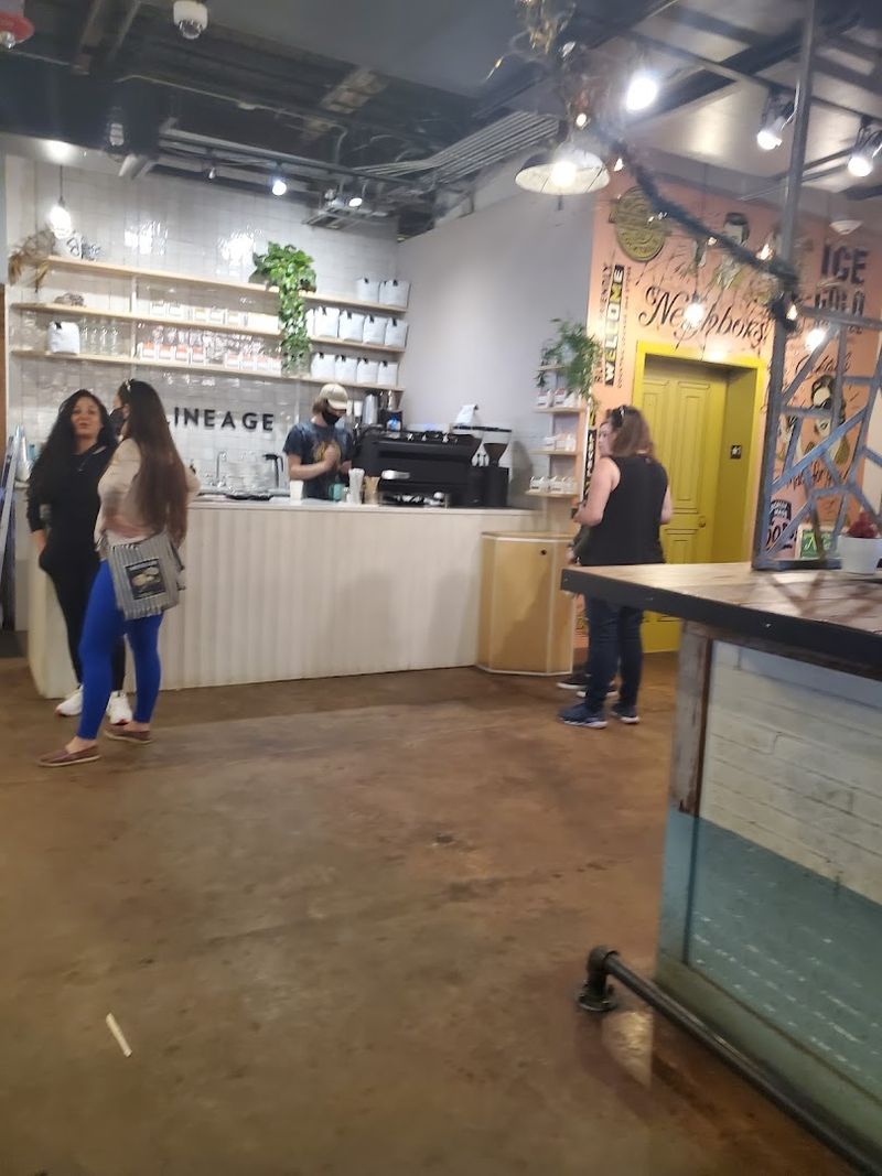 Lineage Coffee Roasting: A Cup Worth Arriving Early For