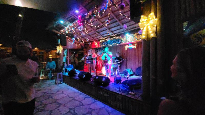 Live Music That Sets the Whole Mood