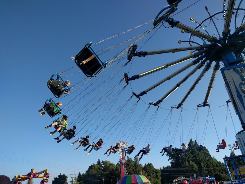 Live Music and Entertainment That Fills the Grounds