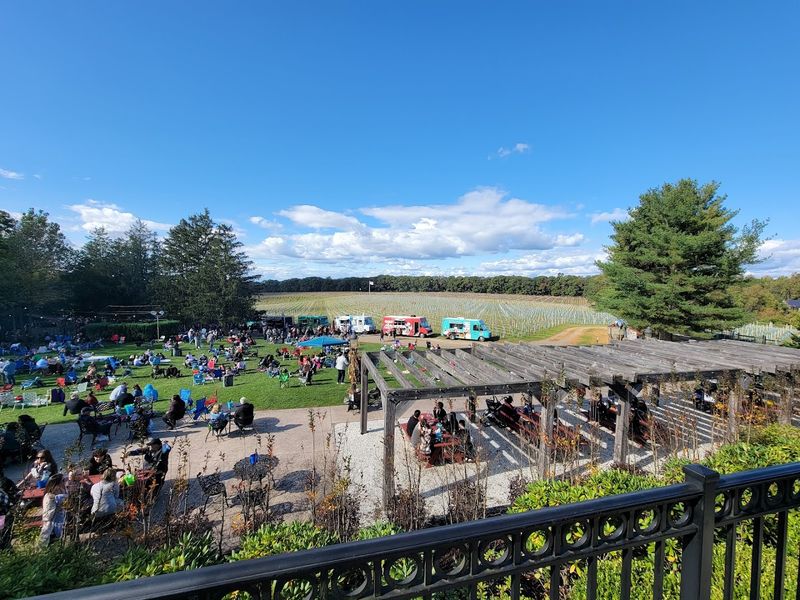 Live Music and the Grove Experience