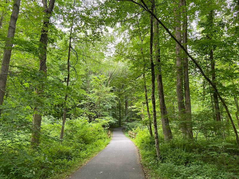 Loantaka Brook Reservation, Morris Township and Chatham Township, New Jersey