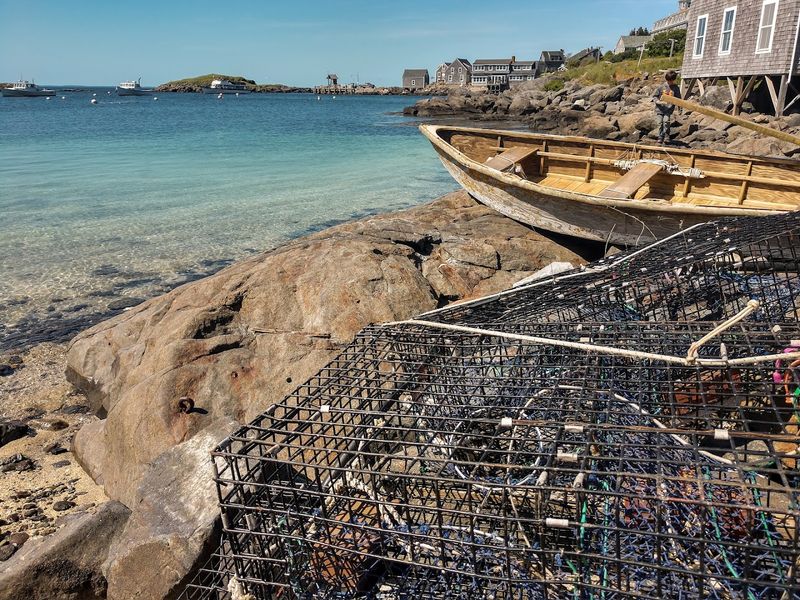 Lobster Fishing: The Industry That Has Kept the Island Alive Lobster Fishing: The Industry That Has Kept the Island Alive