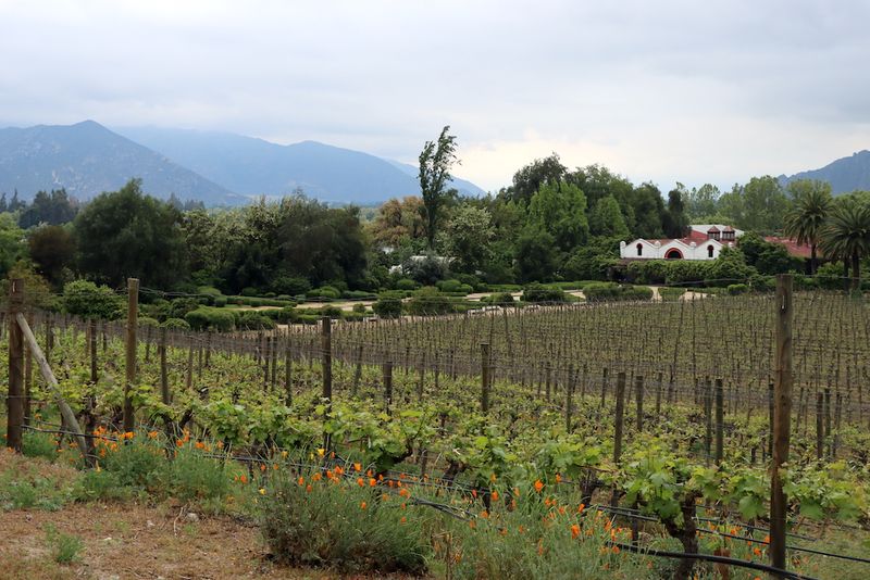 Maipo Valley, Chile