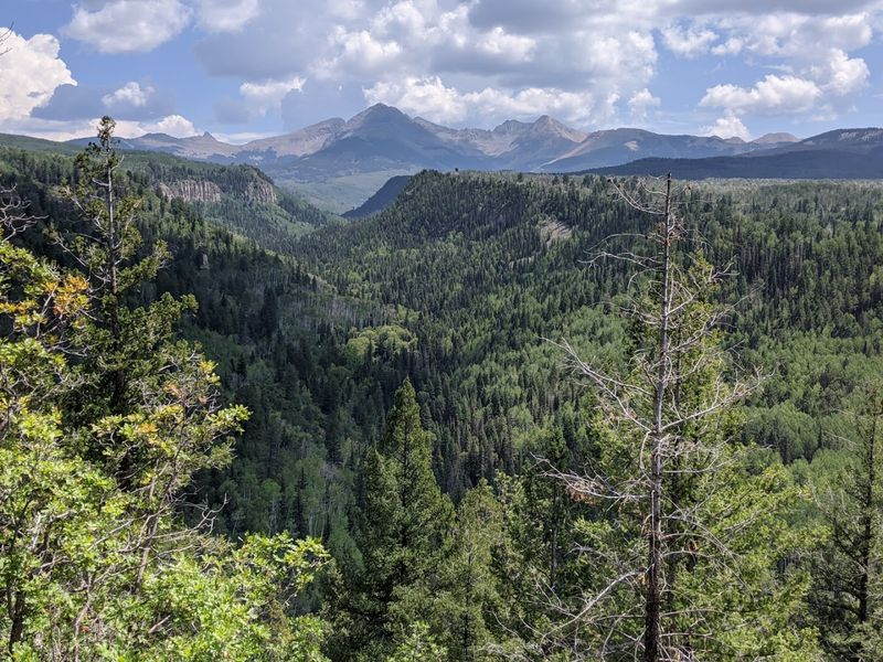 Mancos, Colorado