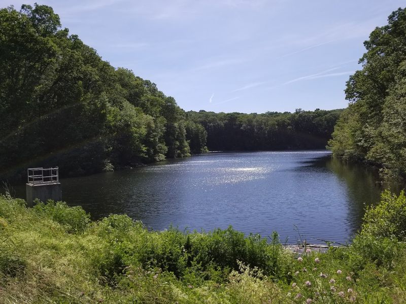 Manton Pond and the Dam That Anchors It Manton Pond and the Dam That Anchors It