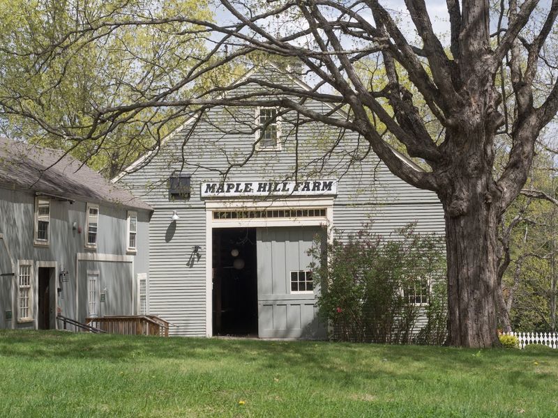 Maple Hill Farm: The Heart of the Educational Side Maple Hill Farm: The Heart of the Educational Side
