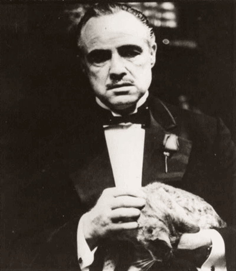 Marlon Brando as Vito Corleone (The Godfather)