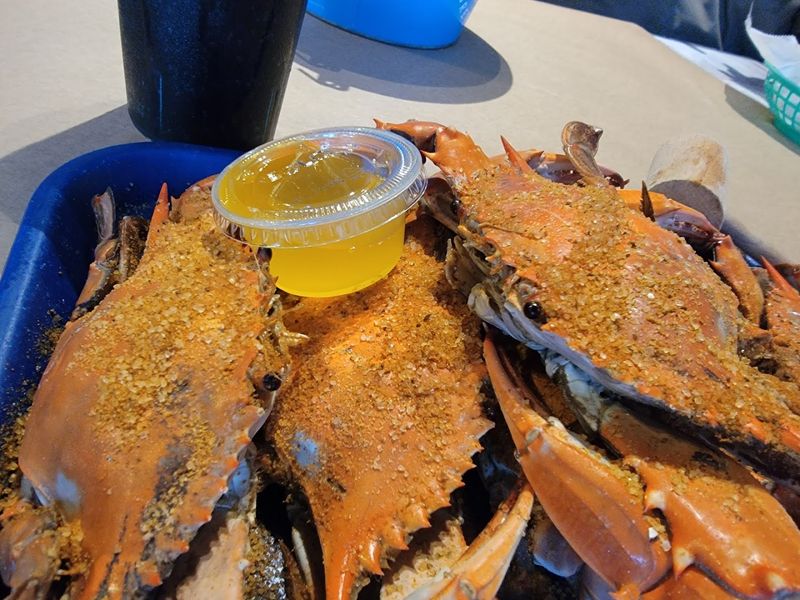 Maryland Steamed Crabs Done the Way They Were Meant to Be Maryland Steamed Crabs Done the Way They Were Meant to Be