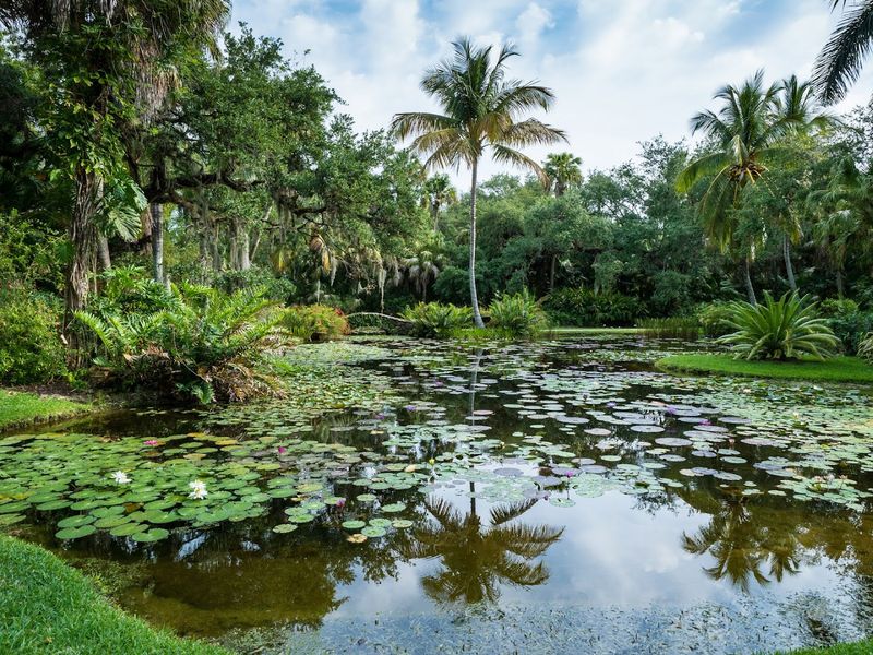 McKee Botanical Garden - Vero Beach