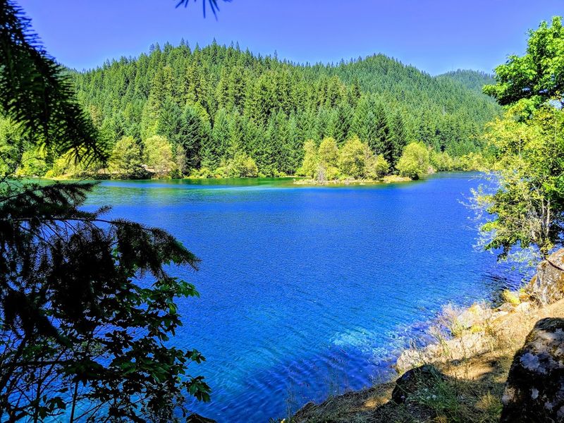 McKenzie River Highway: The Forest's Crown Jewel Drive McKenzie River Highway: The Forest's Crown Jewel Drive