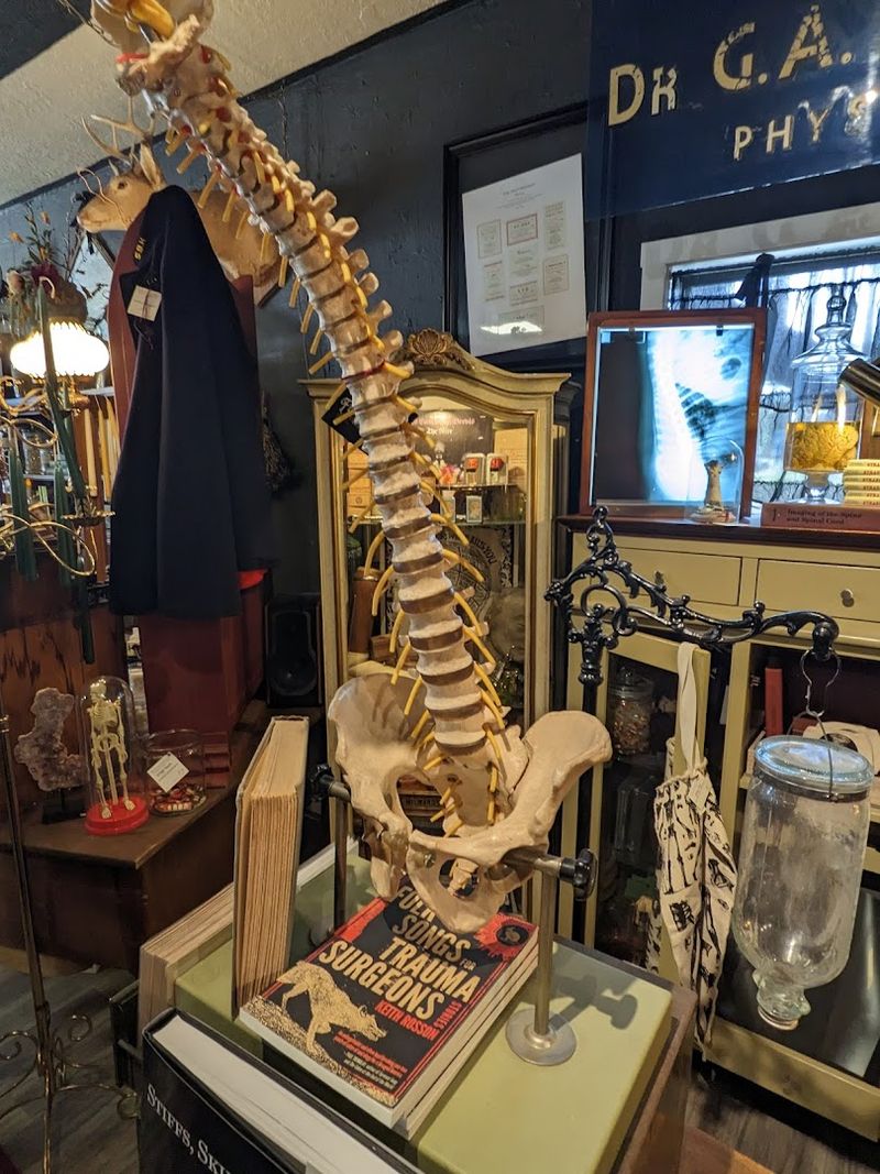 Medical Oddities and Historical Antiques