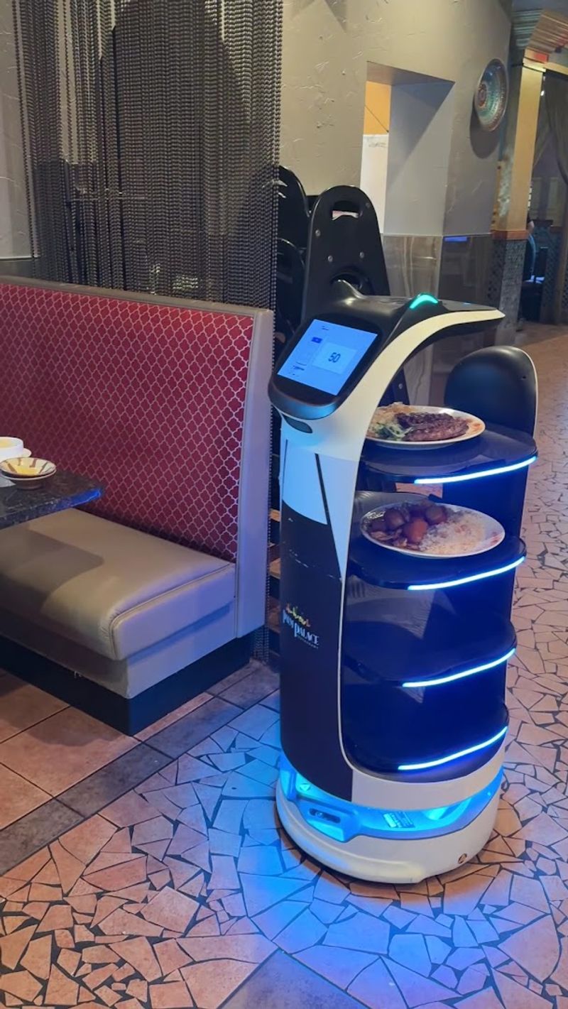 Meet Hoda, the Robot Waiter You Did Not Expect