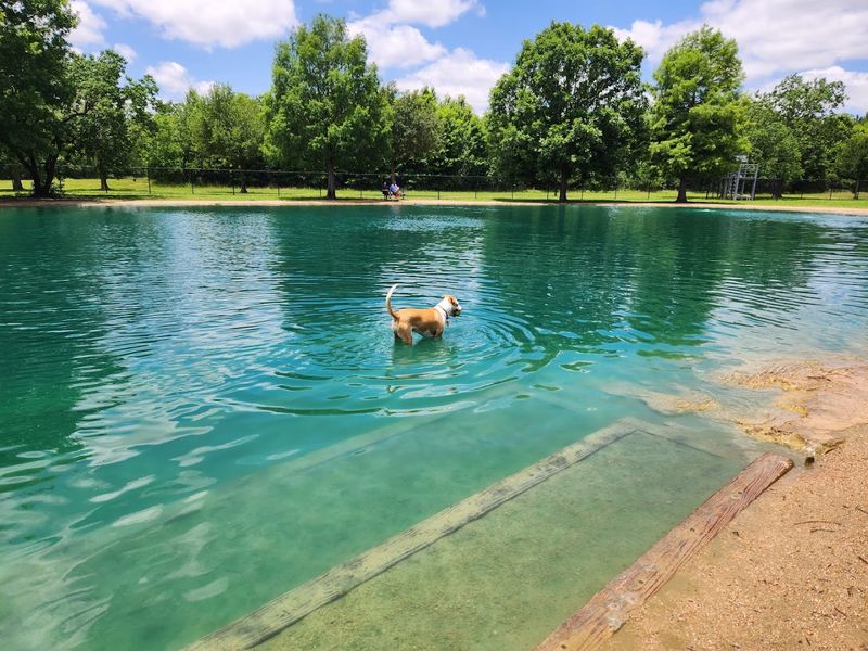 Millie Bush Dog Park - Houston, Texas Millie Bush Dog Park - Houston, Texas