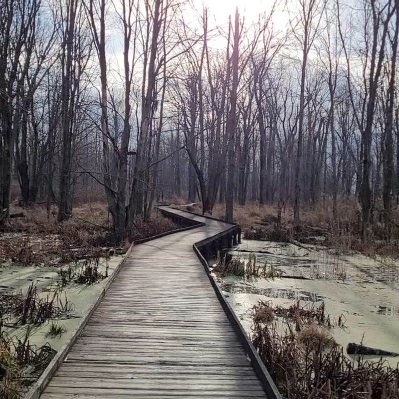 Maumee Bay State Park