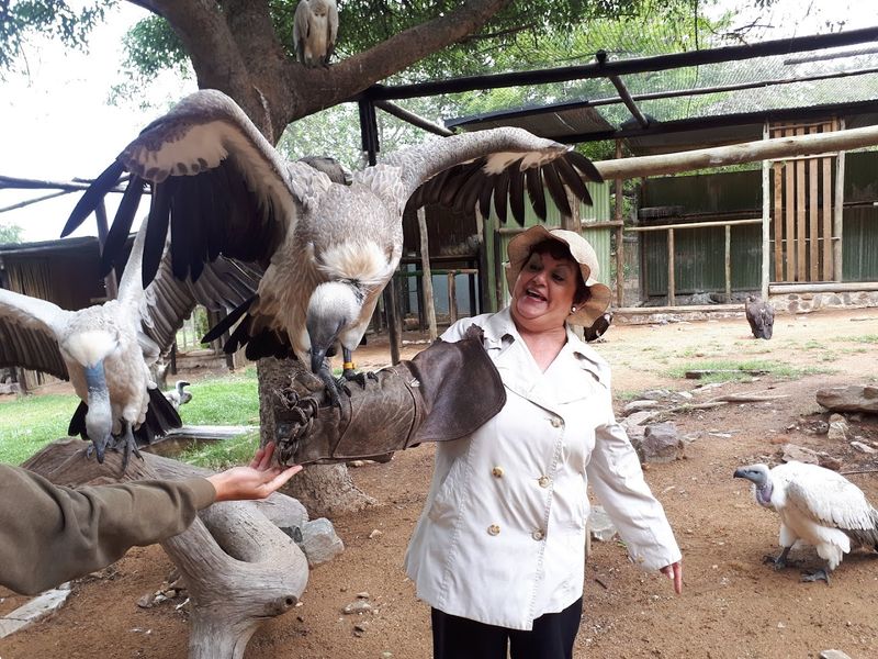 Moholoholo Wildlife Rehabilitation Centre, Hoedspruit, South Africa