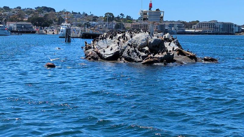 Monterey Bay, Monterey, California Monterey Bay, Monterey, California