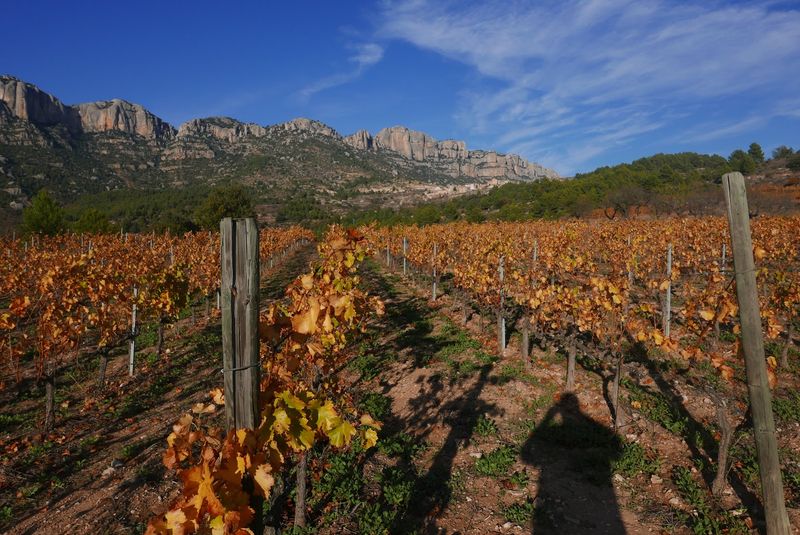 Montsant – Catalonia