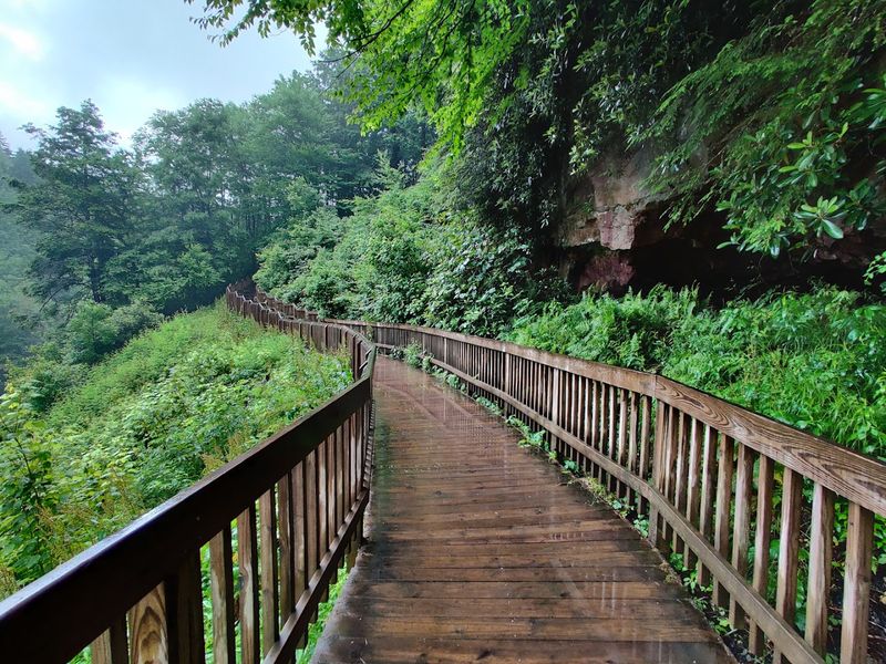 More Than 20 Miles of Trails: Finding Your Own Path Through the Forest More Than 20 Miles of Trails: Finding Your Own Path Through the Forest