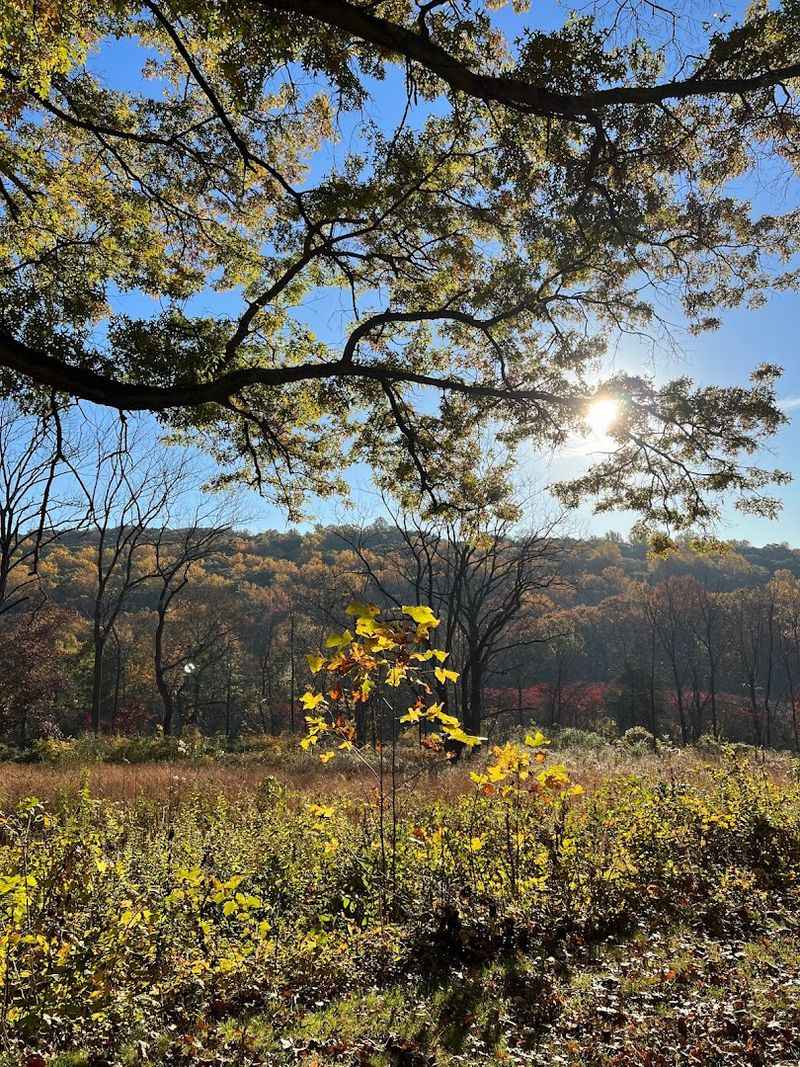 More Than 300 Acres to Roam