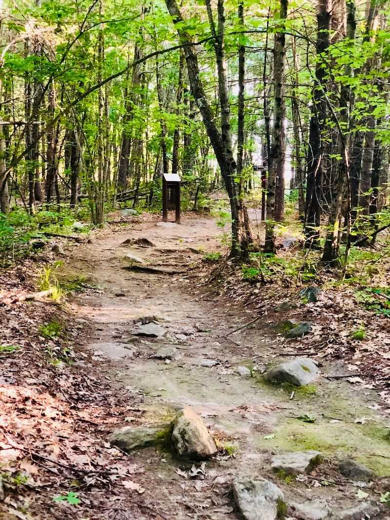More Than Four Miles of Trail: A Walker's Honest Review