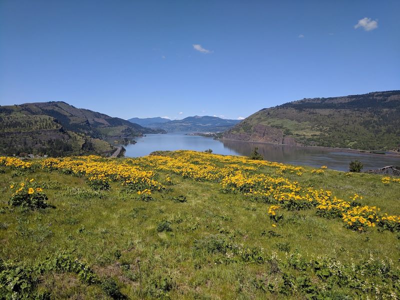 Mosier Plateau Trail and the Views That Earn Their Payoff Mosier Plateau Trail and the Views That Earn Their Payoff