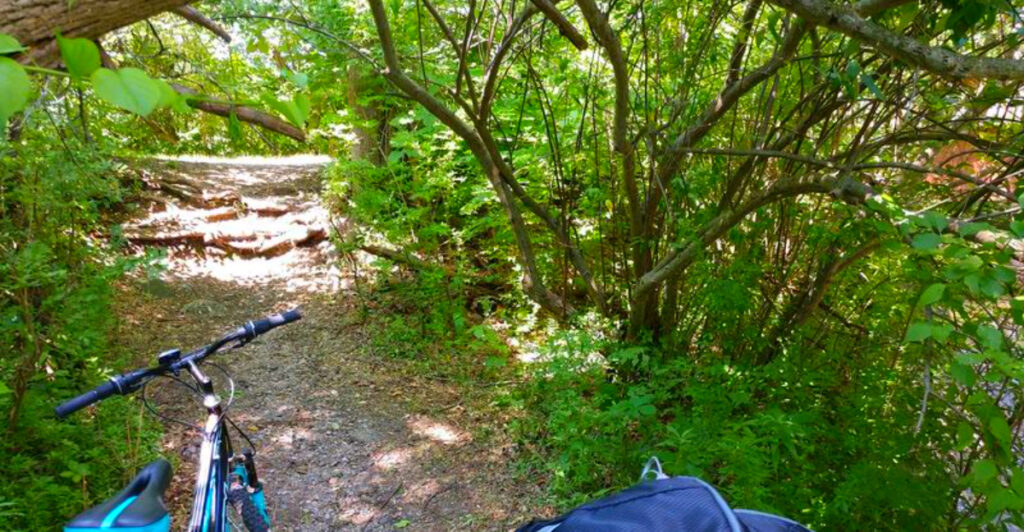 Most Metro Detroit Drivers Have No Idea This Peaceful Rail Trail Is Hiding Right Beside I-75
