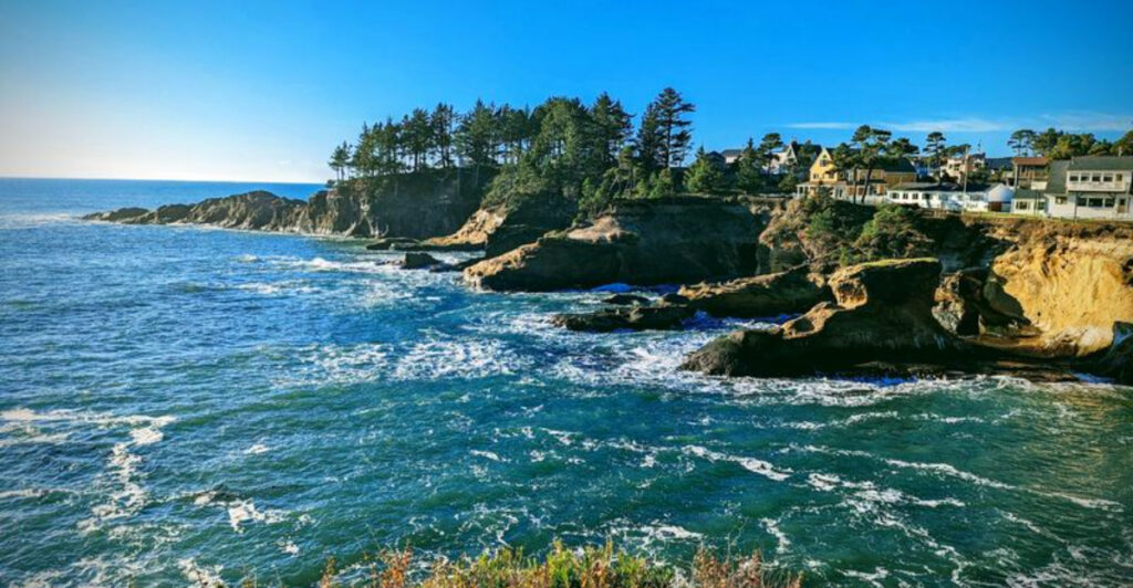 Most Travelers Drive Right Past This Oregon Town Where Gray Whales Feed Shockingly Close to Shore